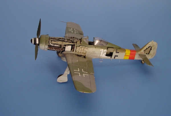 248068 HGW 1/48 Wet Transfers Fw190D-9 Bodenplatte Markings for Eduard kit