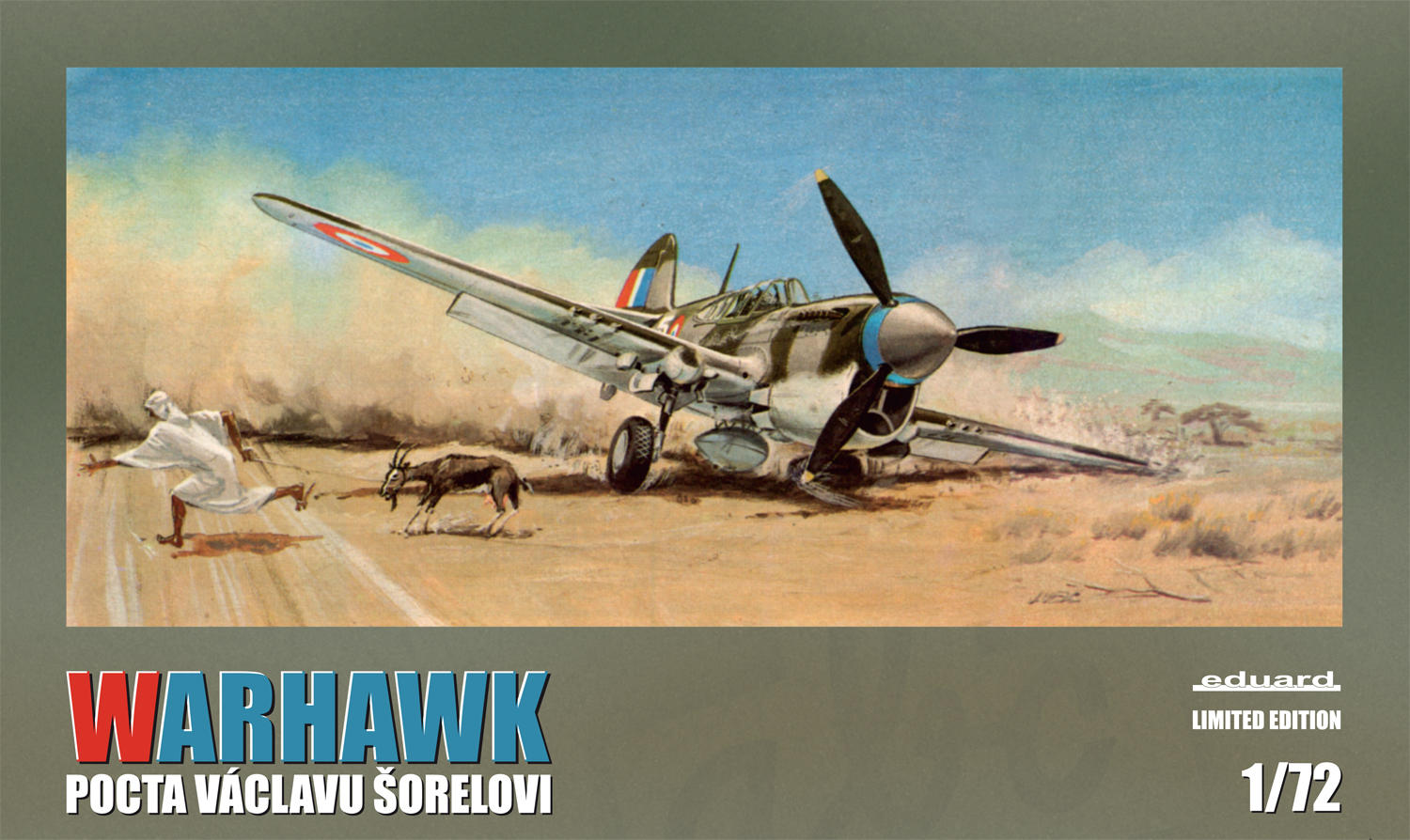 1/72 Warhawk - benefit model - tribute to Václav Šorel